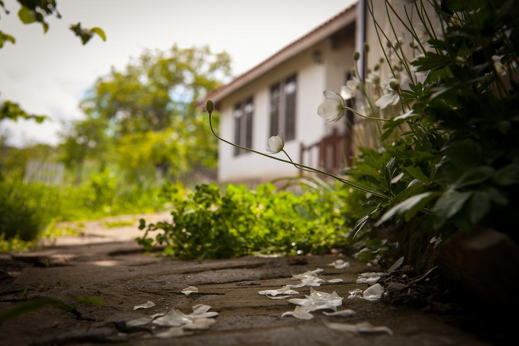 Mutafova Guest House Veliki Preslav Exterior photo